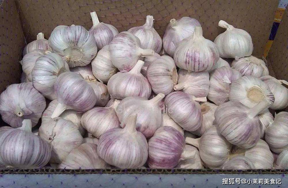每个人储存大蒜的方法都是错误的——一个简单的小贴士可以让大蒜保存得更久
